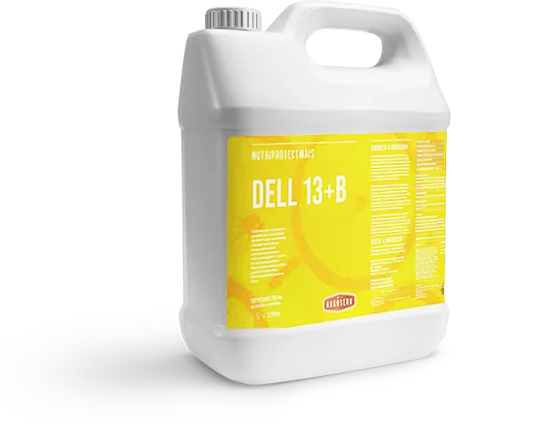Dell 13+B