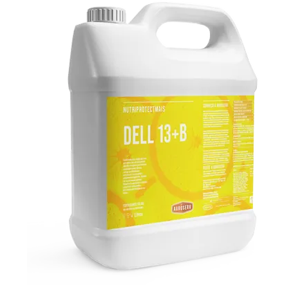 Dell 13+B