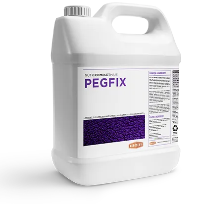 Pegfix